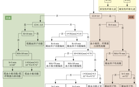 血栓弹力图流程表
