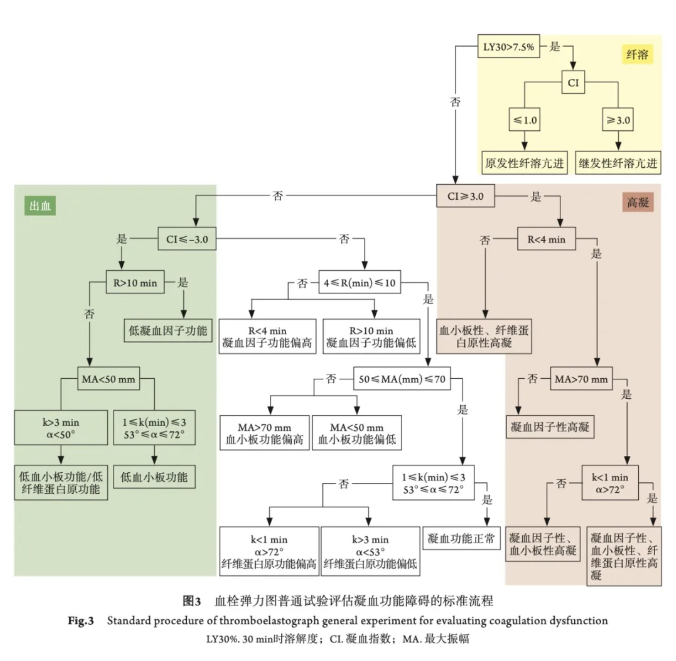 血栓弹力图流程表