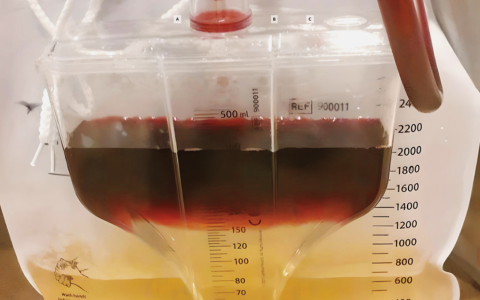 每日一题_2025.03.15