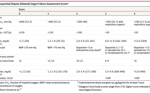 有点说不清楚的SOFA评分
