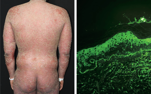 每日一题_2025.04.03