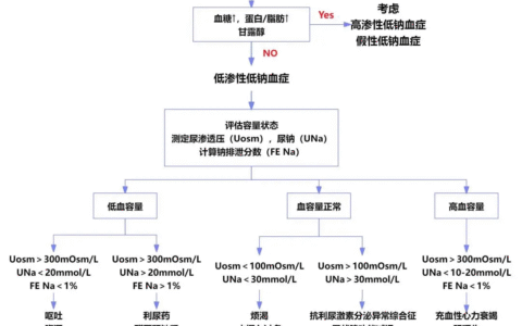低钠血症的鉴别诊断与治疗策略