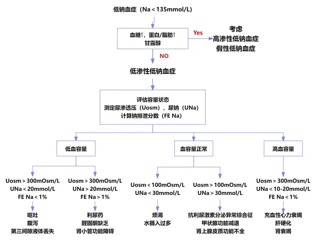 低钠血症的鉴别诊断与治疗策略