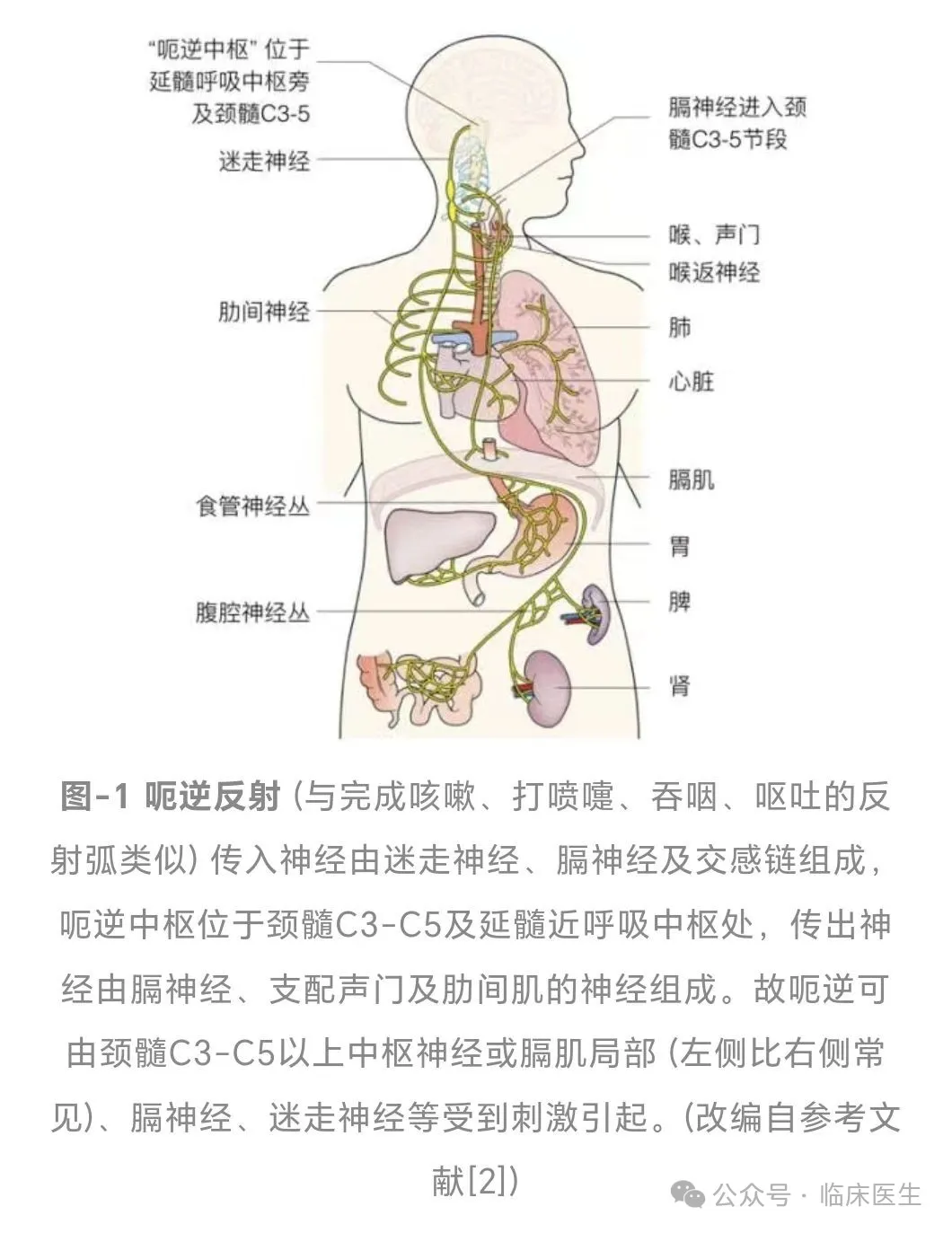 打嗝（呃逆）