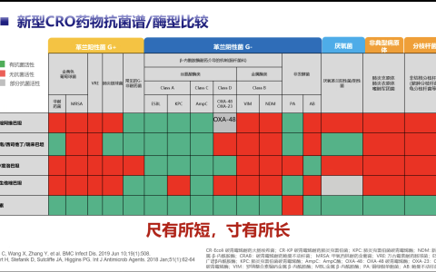 新型CRO药物抗菌谱/酶型比较