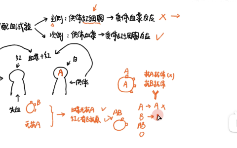 交叉配血