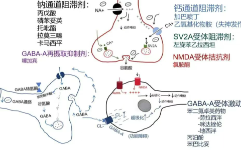 抗癫痫发作药物