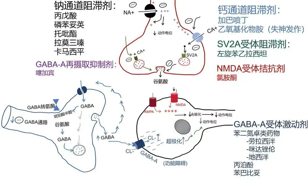抗癫痫发作药物