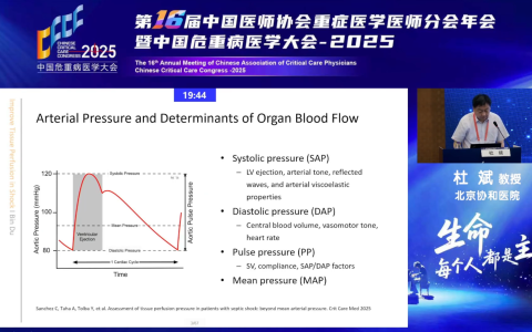 tissue perfusion pressure in shock_协和杜斌