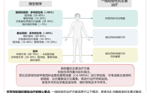 CC:坏死性软组织感染的抗生素治疗：巴黎大区SURFAST联盟的叙述性综述