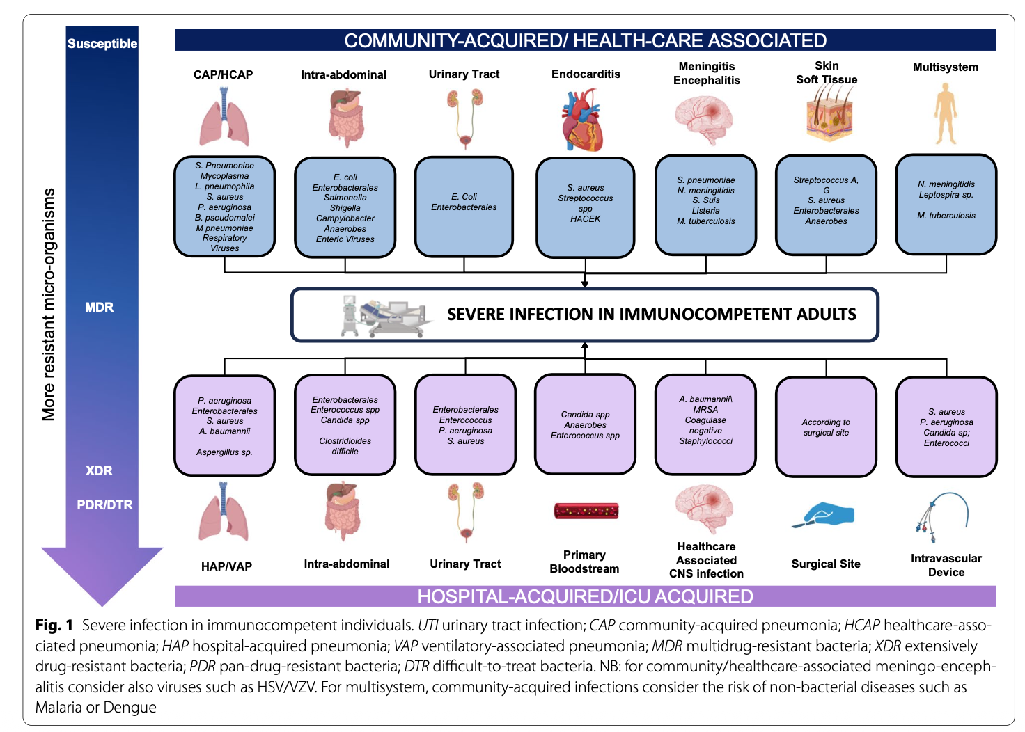 ICM:严重细菌感染的抗生素治疗
