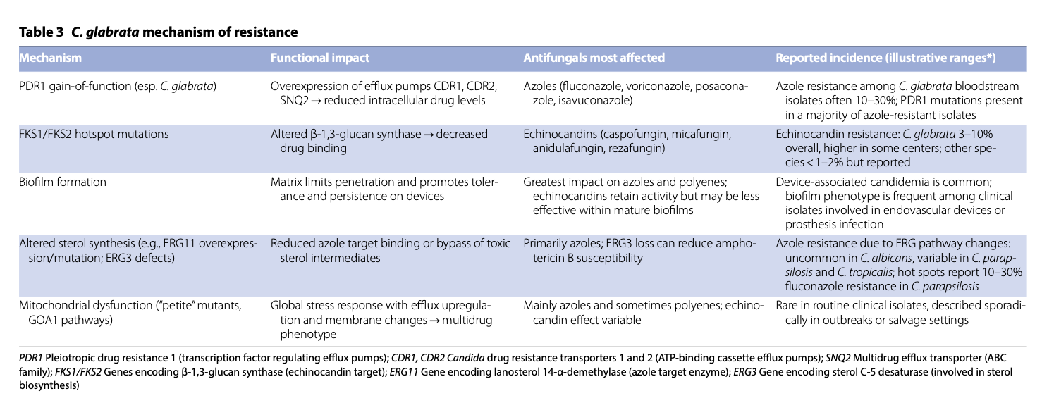 ICM:重症医学中的侵袭性念珠菌病：塑造诊断与治疗的未来
