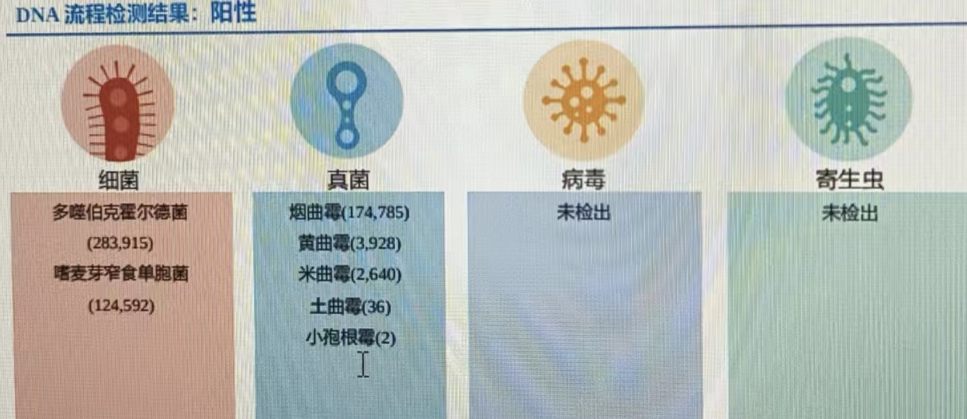 猜猜有几种真菌？