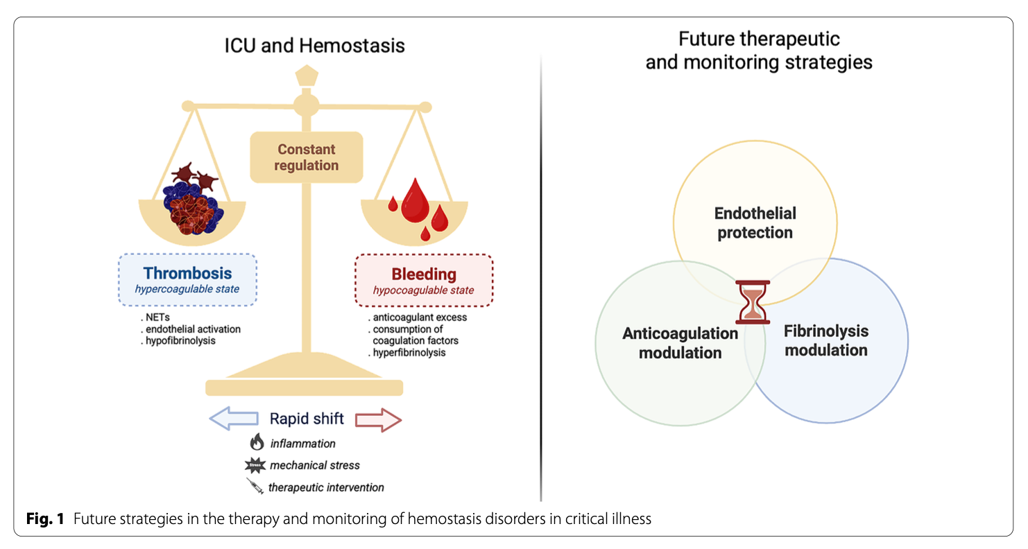 ICM:止血障碍：从出血到血栓
