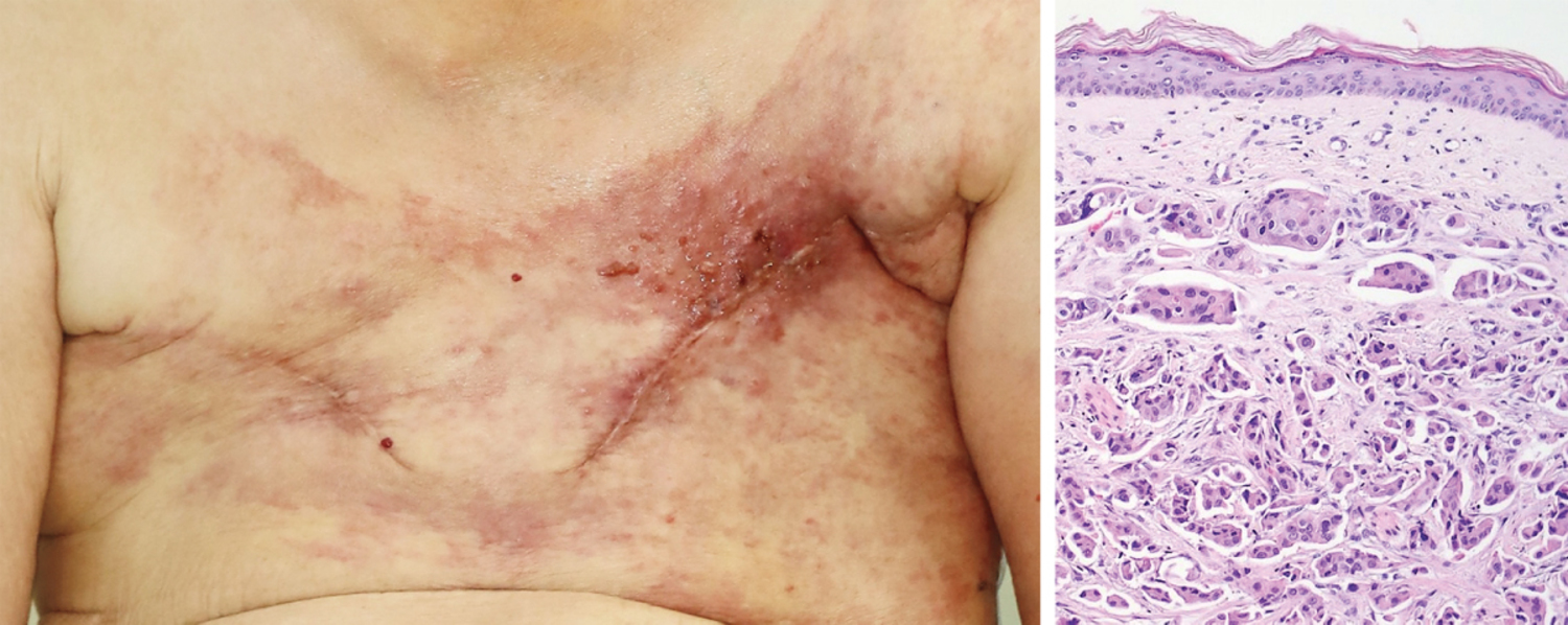 每日一题_2025.11.13