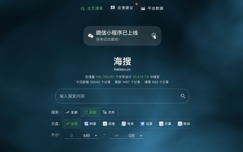 一个网络资源搜索引擎