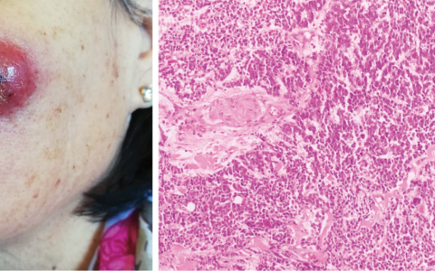 每日一题_2025.12.11