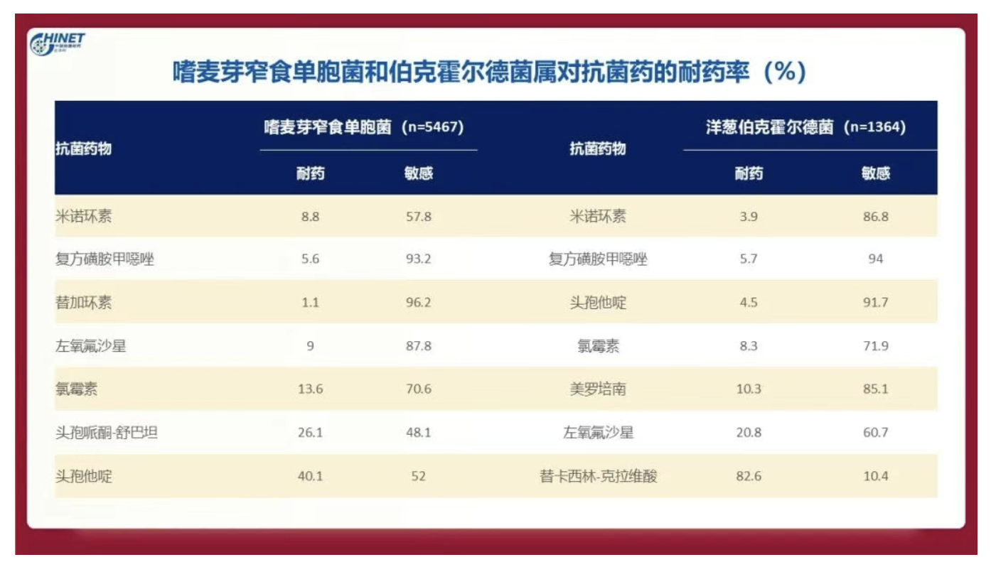 嗜麦芽窄食单胞菌抗菌药物选择及治疗方案
