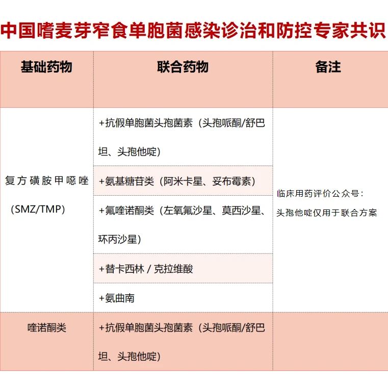 嗜麦芽窄食单胞菌抗菌药物选择及治疗方案