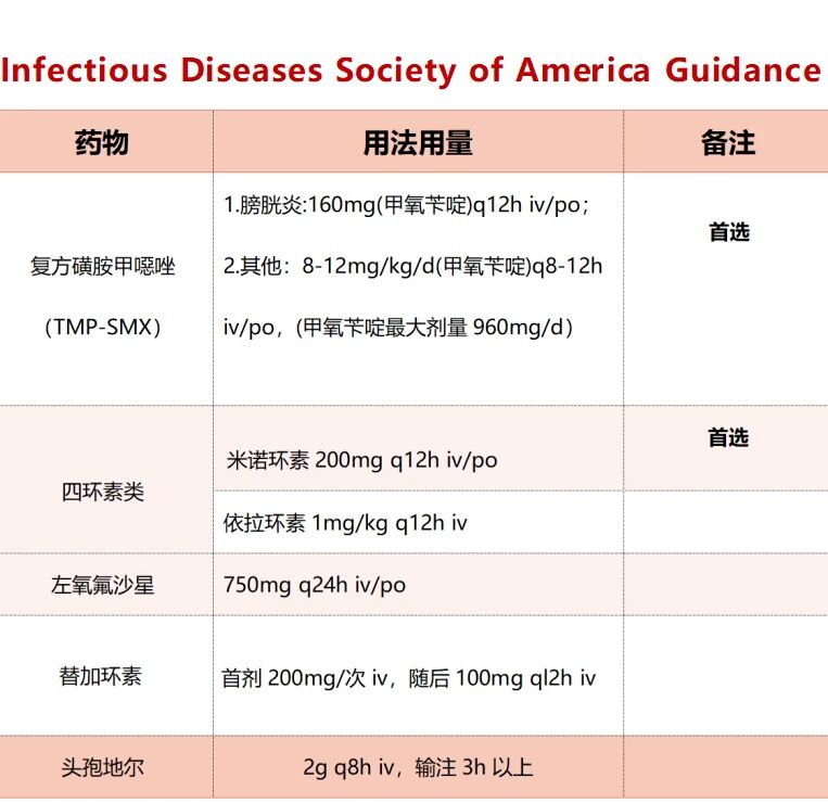 嗜麦芽窄食单胞菌抗菌药物选择及治疗方案