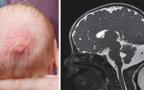 每日一题_2026.01.01