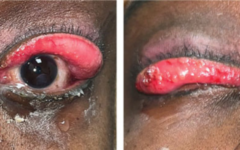 每日一题_2026.01.29