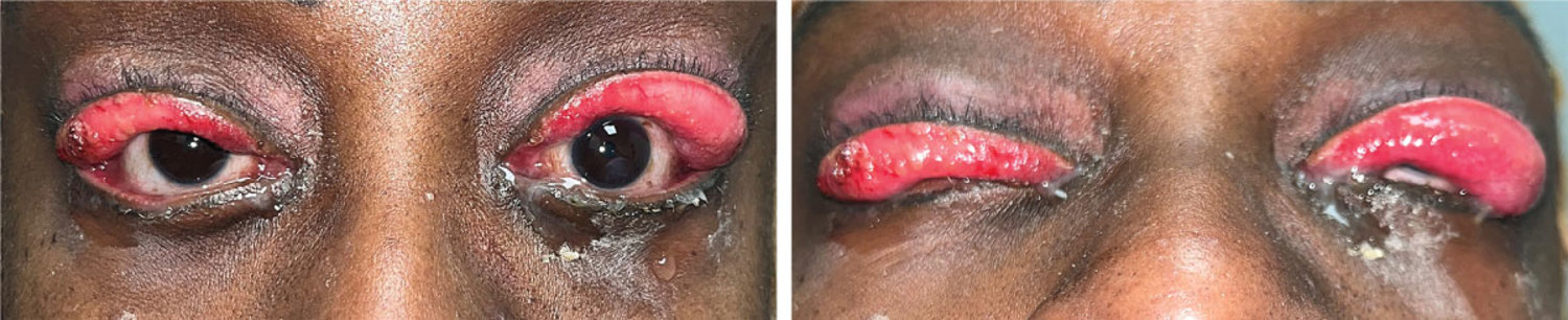 每日一题_2026.01.29