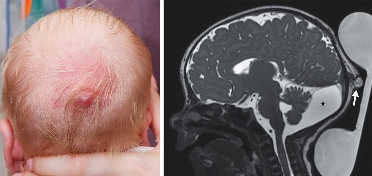 每日一题_2026.01.01