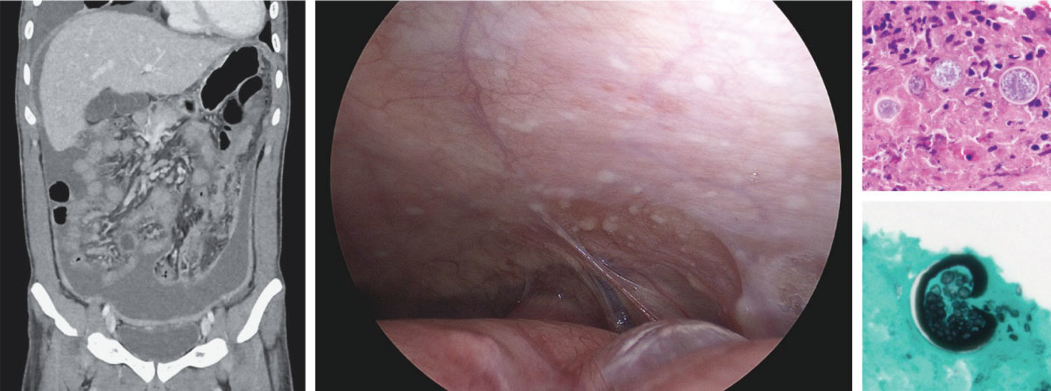 每日一题_2026.02.12