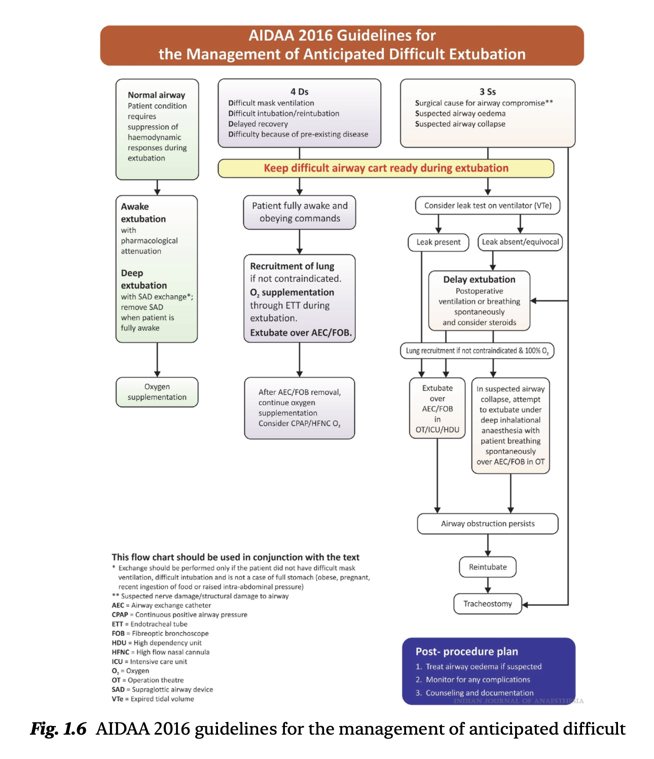 夜猫子读书日记：第一章：气道管理