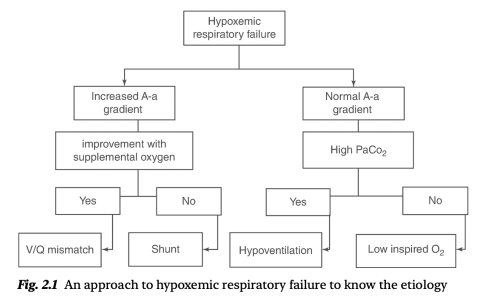 夜猫子读书日记：第二章：急性呼吸衰竭