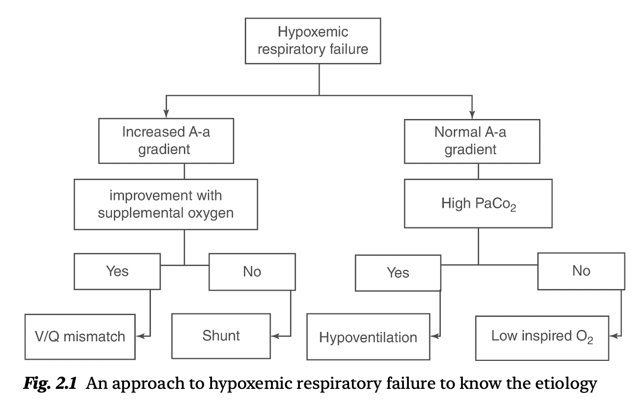 夜猫子读书日记：第二章：急性呼吸衰竭