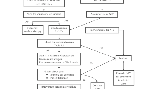 夜猫子读书日记：第三章：无创正压通气
