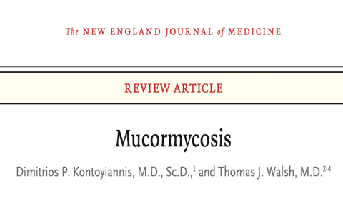 NEJM综述：毛霉菌病