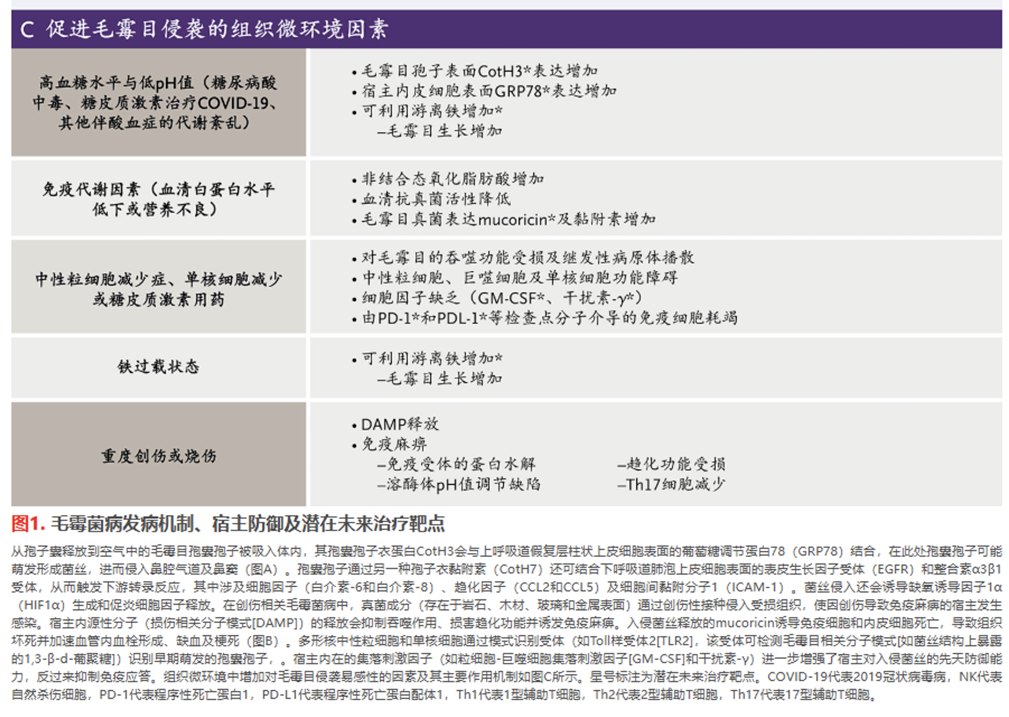 NEJM综述：毛霉菌病