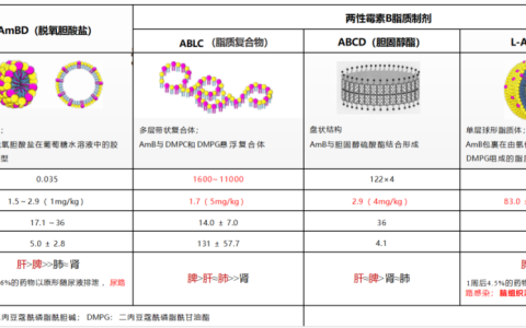 两性霉素 B 制剂的比较