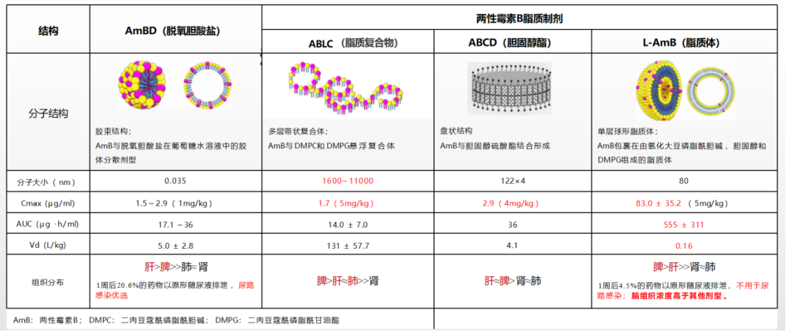 两性霉素 B 制剂的比较
