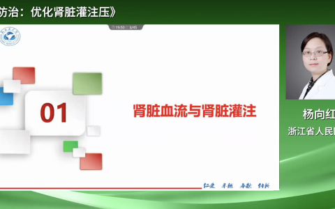 AKI防治：优化肾脏灌注压-浙江省人医杨向红