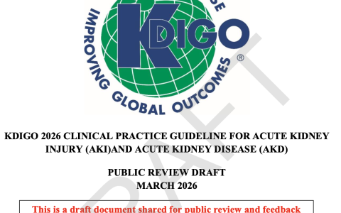 2026版KDIGO急性肾损伤指南发布