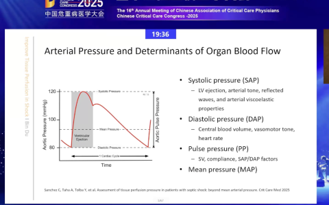 休克中的组织灌注压-协和杜斌