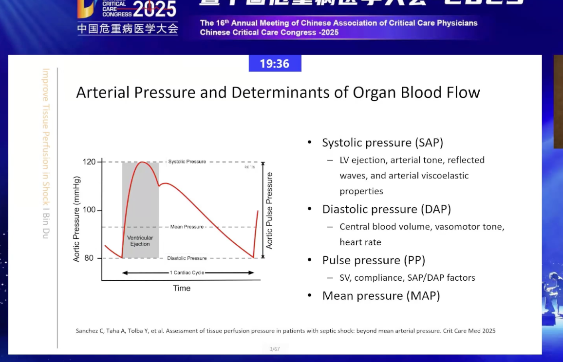 休克中的组织灌注压-协和杜斌