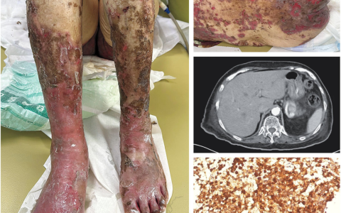 每日一题_2026.04.03