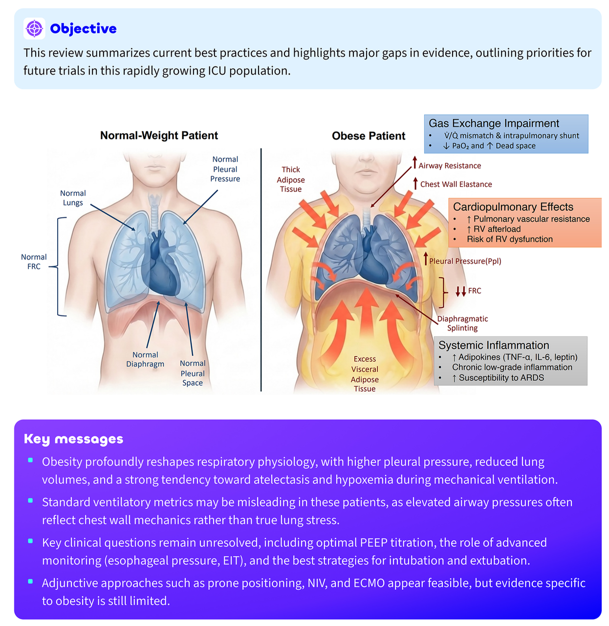 ICM:肥胖ICU 患者的机械通气：当前最佳实践与未来方向